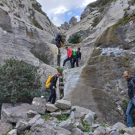 Henry Hostel Buggerru